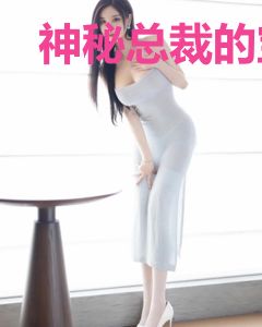 神秘总裁的宝贝娇妻