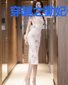 穿越之勤妃传爱新觉罗玄烨