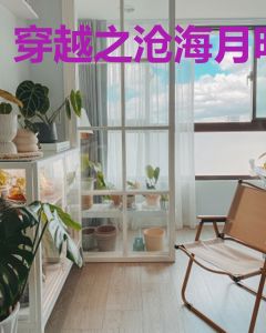 穿越之沧海月明