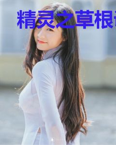 精灵之草根训练家