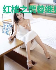 红楼之贾蓉继妻