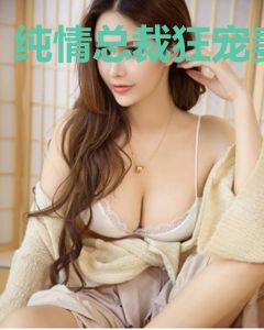 纯情总裁狂宠妻