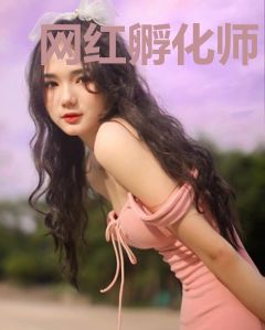 网红孵化师
