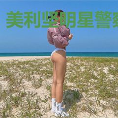 美利坚明星警察