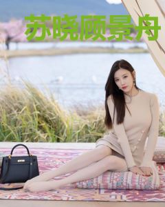 苏晓顾景舟