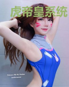 虎帝皇系统