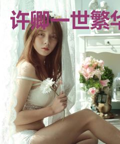 许卿一世繁华