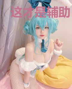 这才是辅助