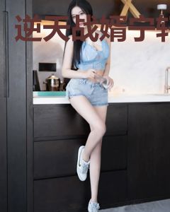 逆天战婿宁轩