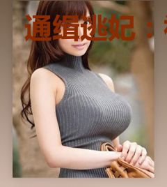 通缉逃妃：祸水国师不承欢