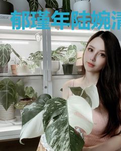 郁瑾年陆婉清