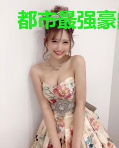 都市最强豪门战婿