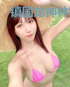 镇国龙神林锋苏清雪