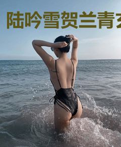 陆吟雪贺兰青玄