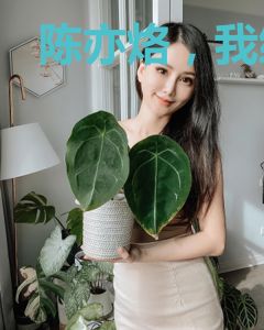 陈亦烙，我终究逃不出你的五指山