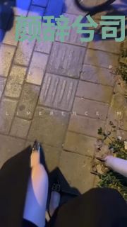 颜辞兮司厉辰