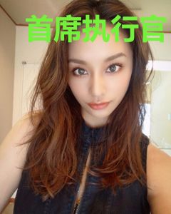 首席执行官