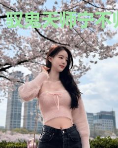 驭鬼天师宁不归