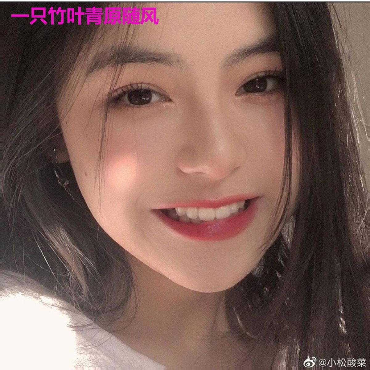 一只竹叶青原随风