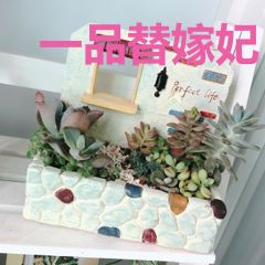 一品替嫁妃