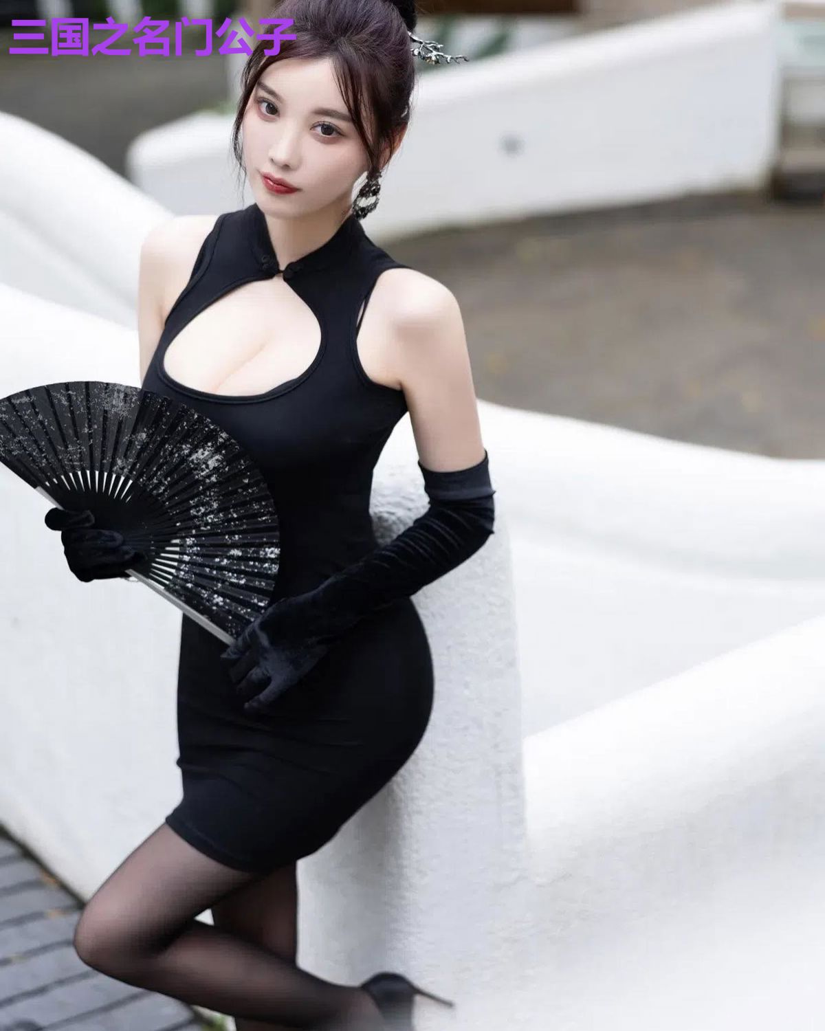 三国之名门公子