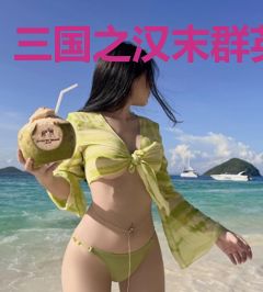 三国之汉末群英