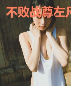 不败战尊左凡