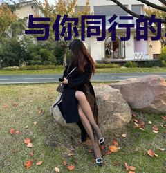 与你同行的365天：第四辑