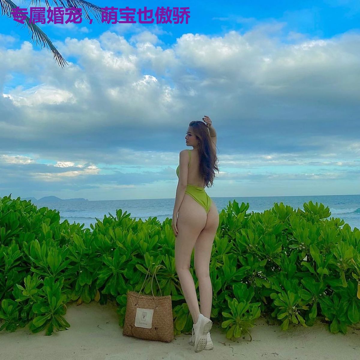 专属婚宠,萌宝也傲骄