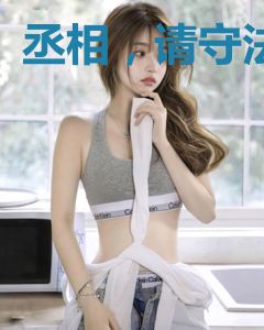 丞相，请守法