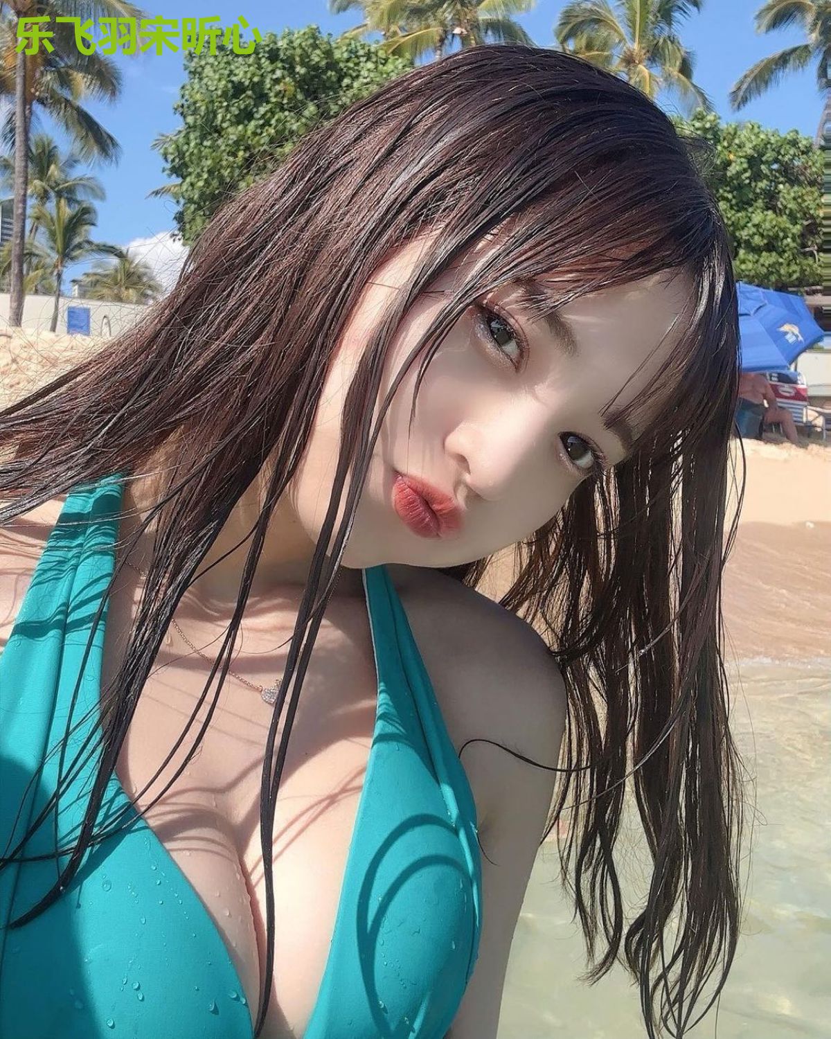 乐飞羽宋昕心