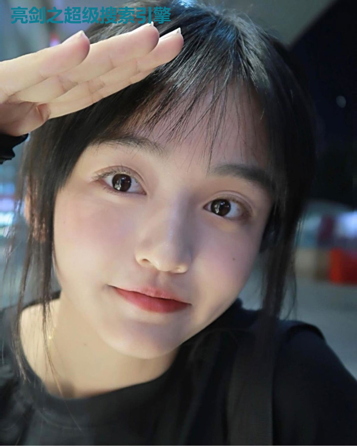 亮剑之超级搜索引擎