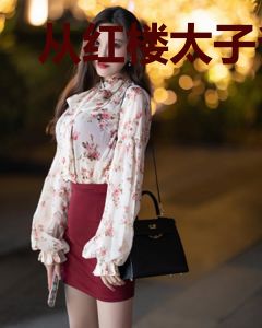 从红楼太子爷开始收录诸天