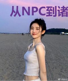 从NPC到诸天霸主