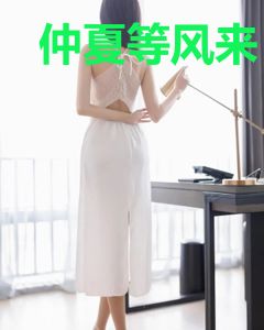 仲夏等风来