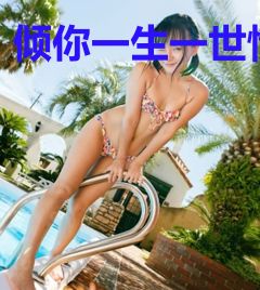 倾你一生一世情