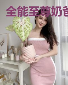 全能至尊奶爸