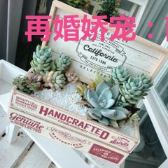 再婚娇宠：南少的宝贝娇妻