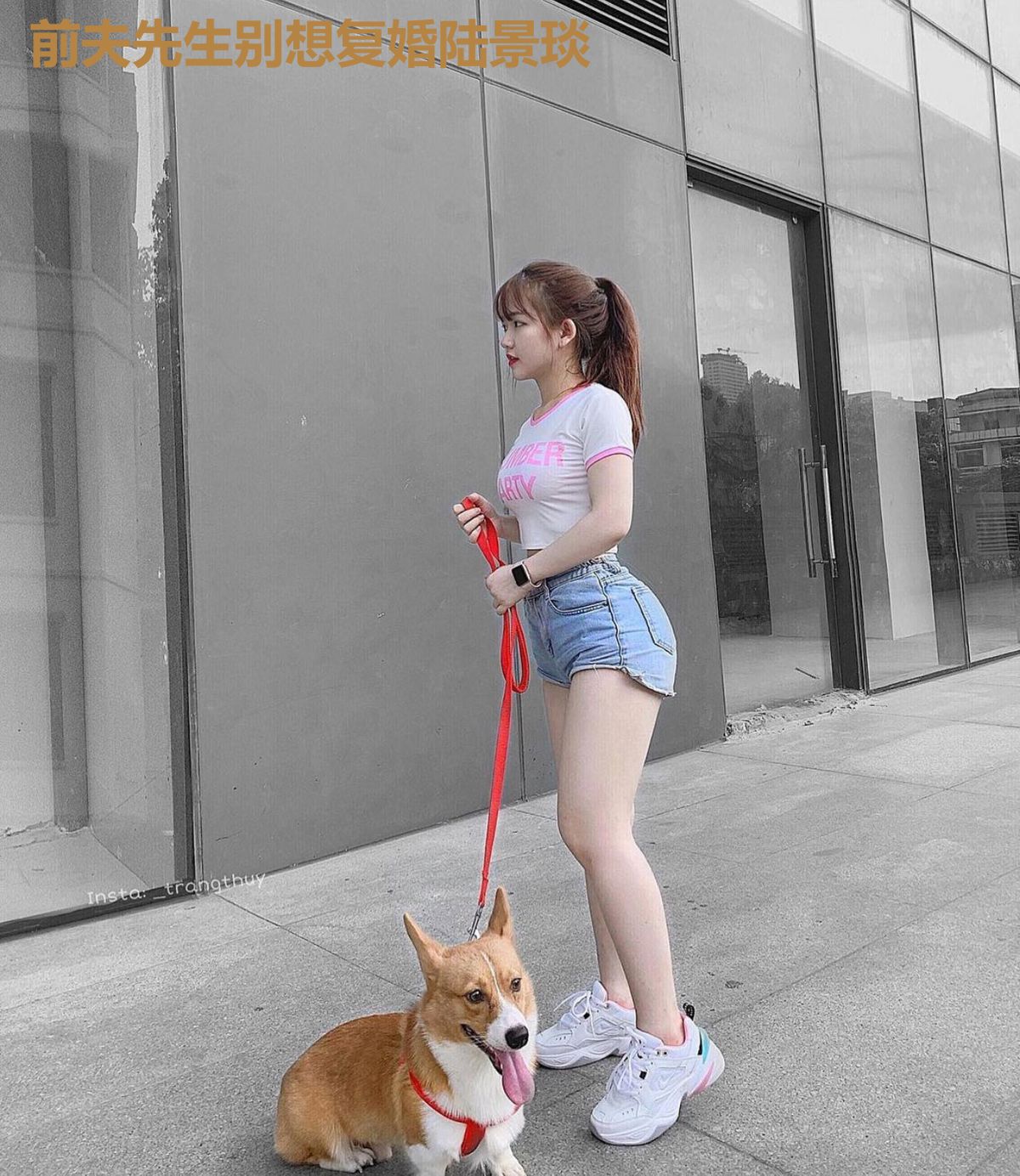 前夫先生别想复婚陆景琰