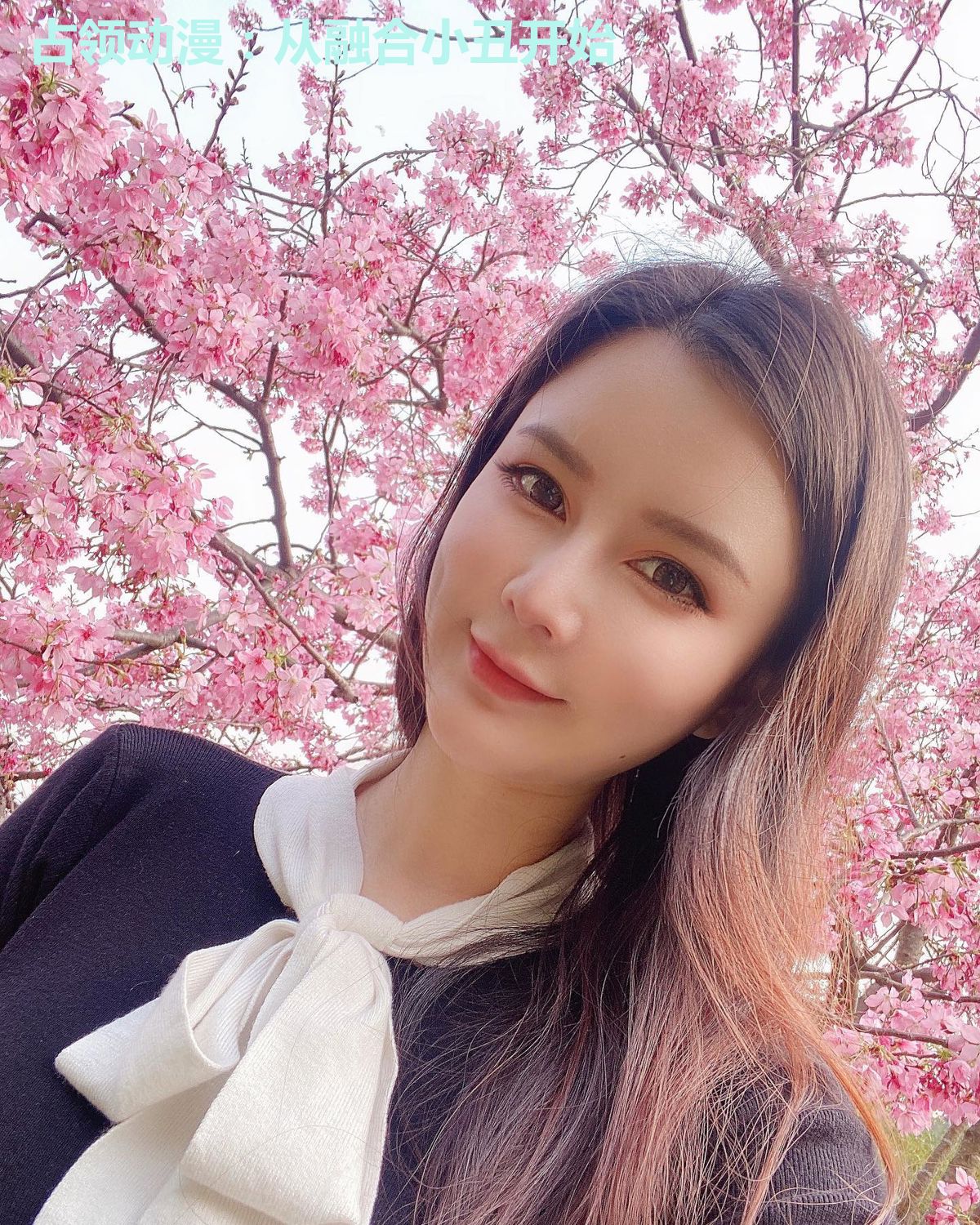 占领动漫:从融合小丑开始