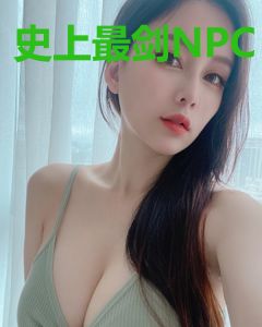 史上最剑NPC