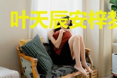 叶天辰安梓梦