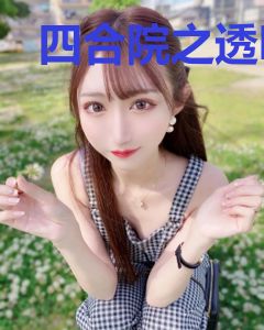 四合院之透明小人物