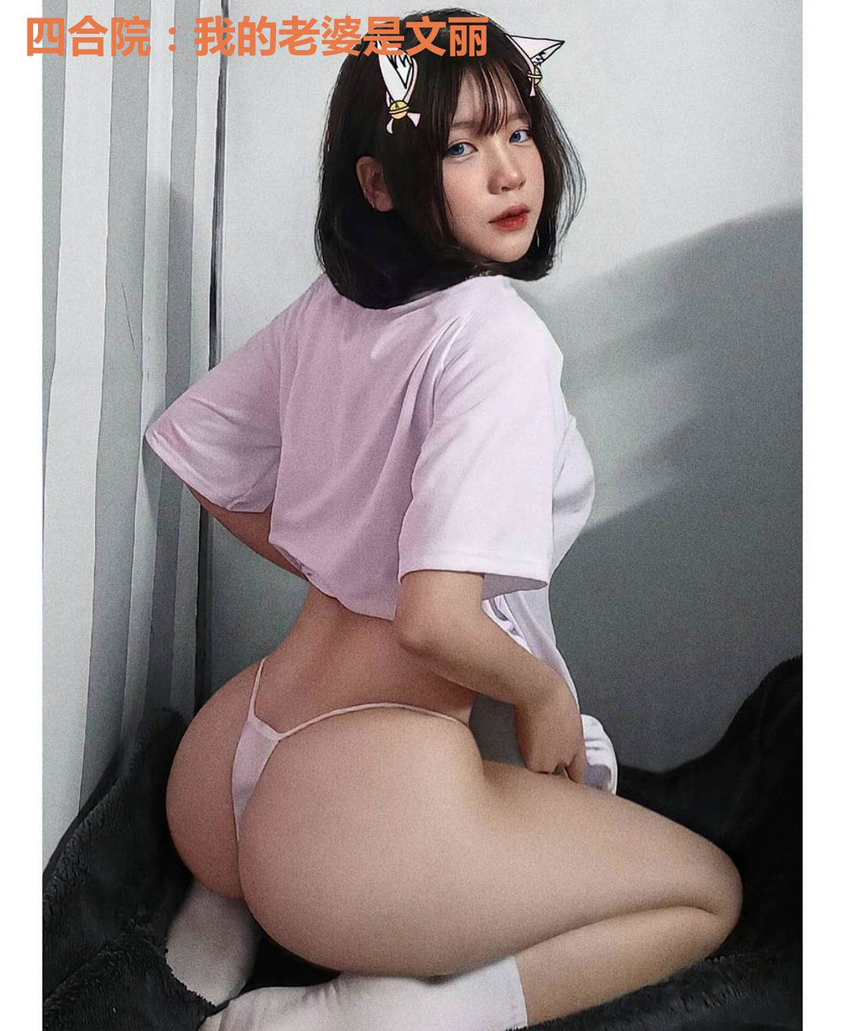 四合院:我的老婆是文丽