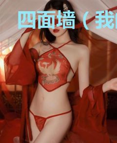 四面墙（我的狱中生活）