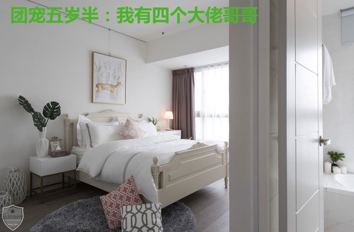 团宠五岁半:我有四个大佬哥哥