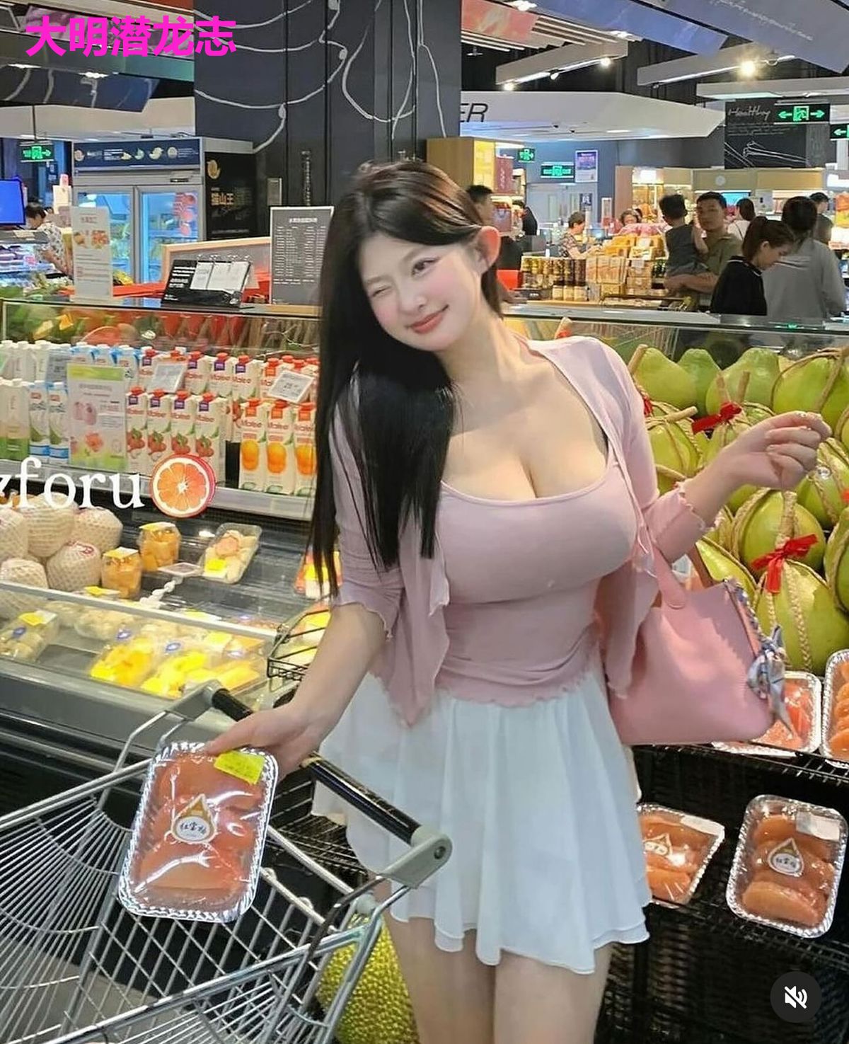 大明潜龙志