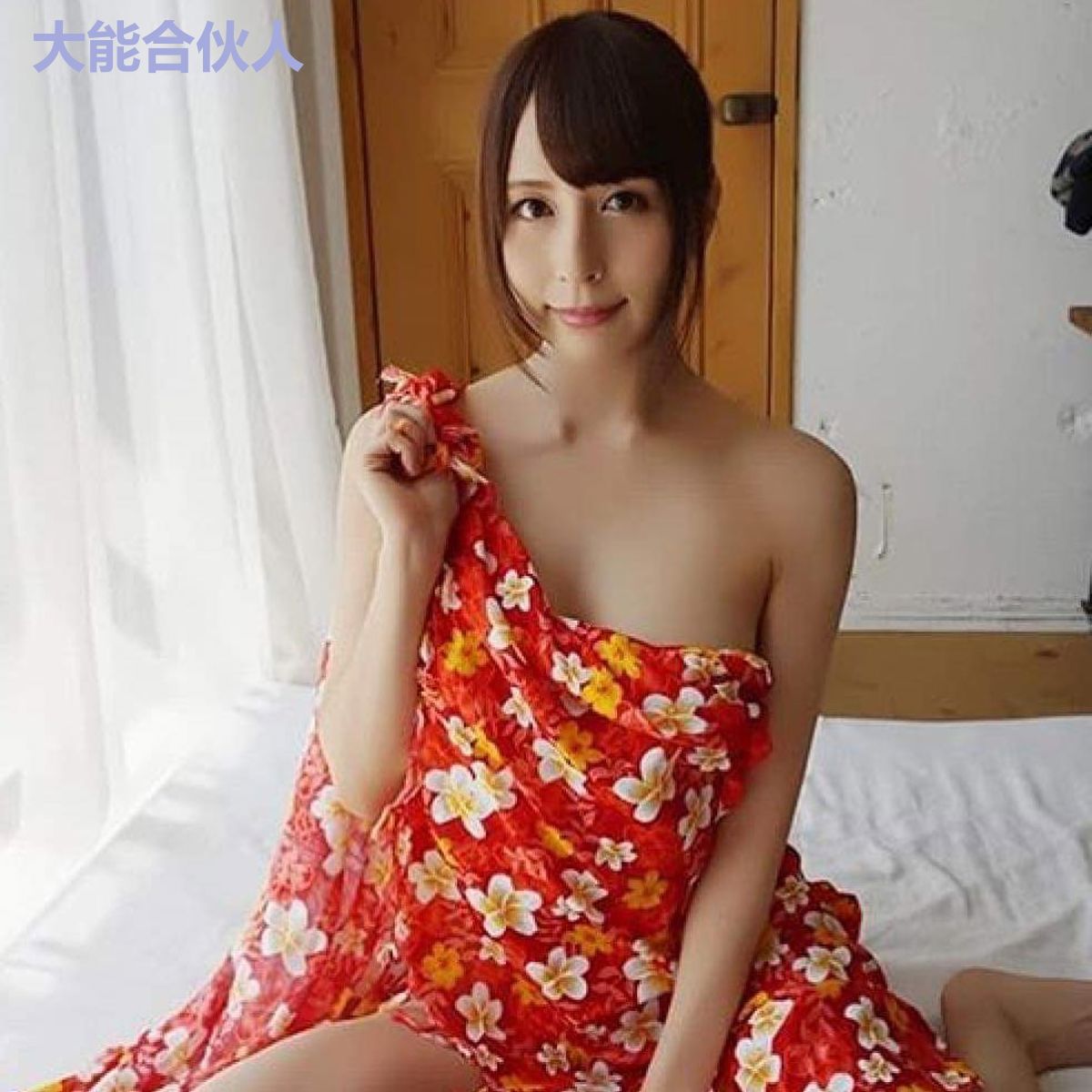 大能合伙人