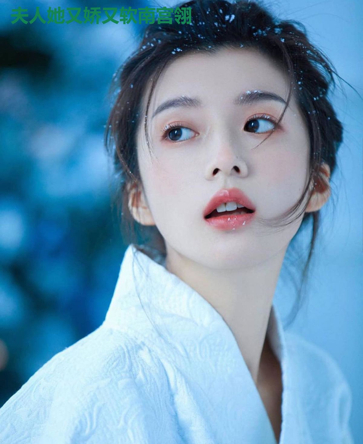 夫人她又娇又软南宫翎