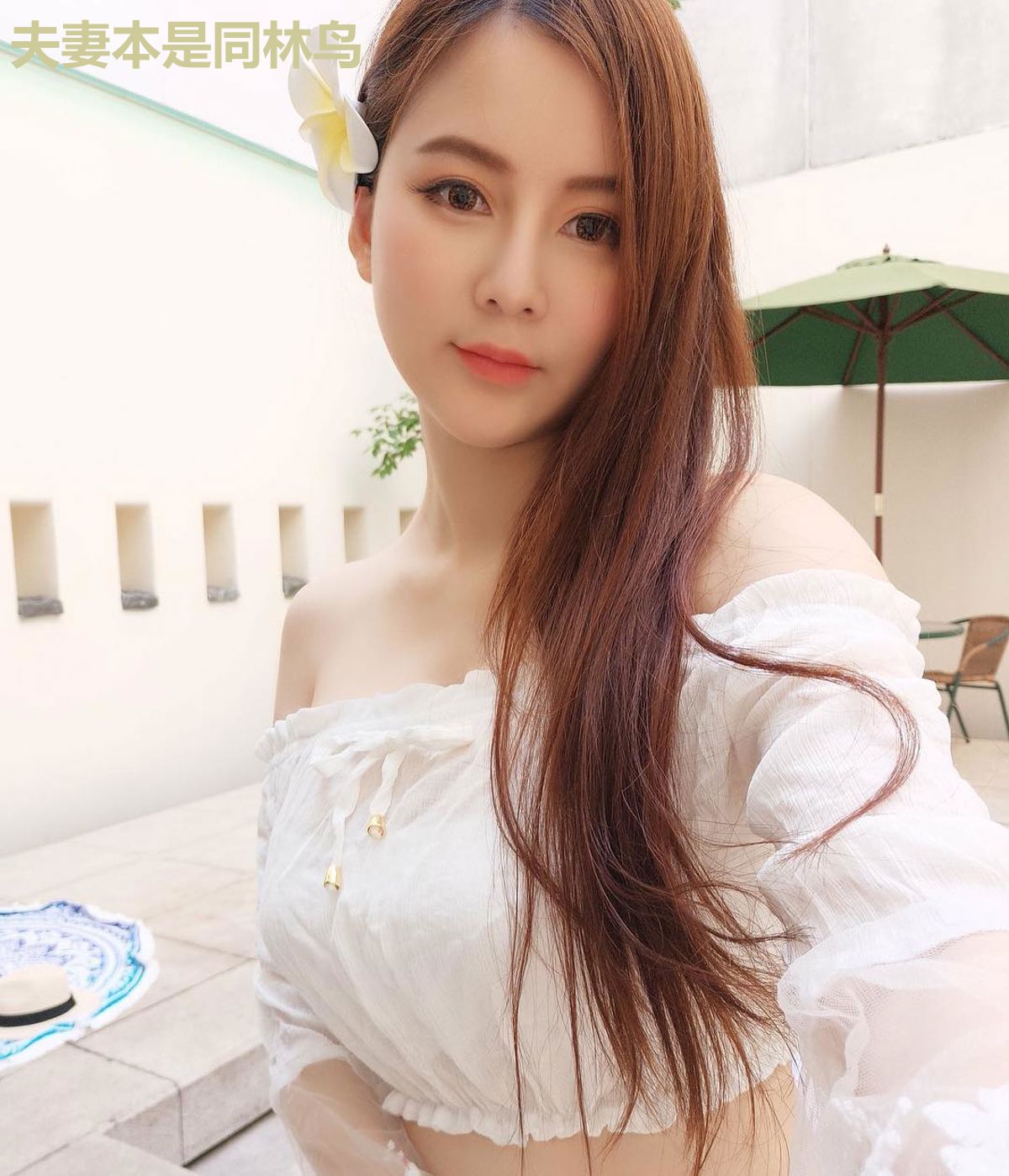 夫妻本是同林鸟